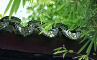 小众八字排盘 小众八字排盘软件下载？