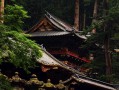 紫微斗数的排盘顺序 紫微斗数排盘实例？