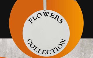 Why is it so difficult to find a reliable 3D logo designer? Let’s talk about the pitfalls we have stepped on and the truth 