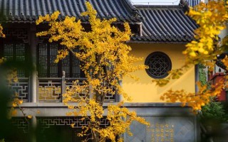 姓刘取名马年宝宝 刘姓男孩名字属马？