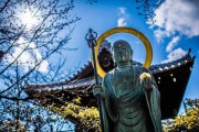 2025结婚吉日 结婚日子吉日查询？